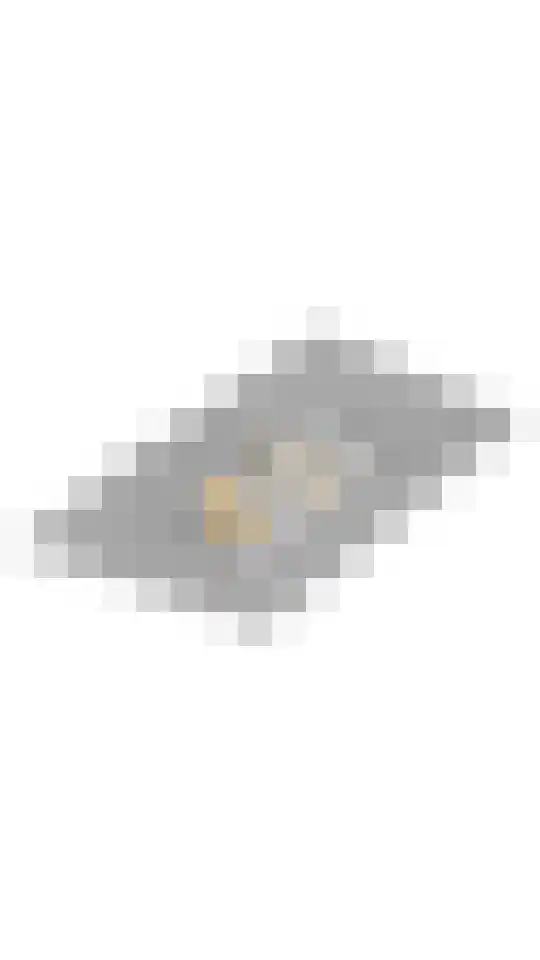 Julianalaan 13 Putten thumbnail 67