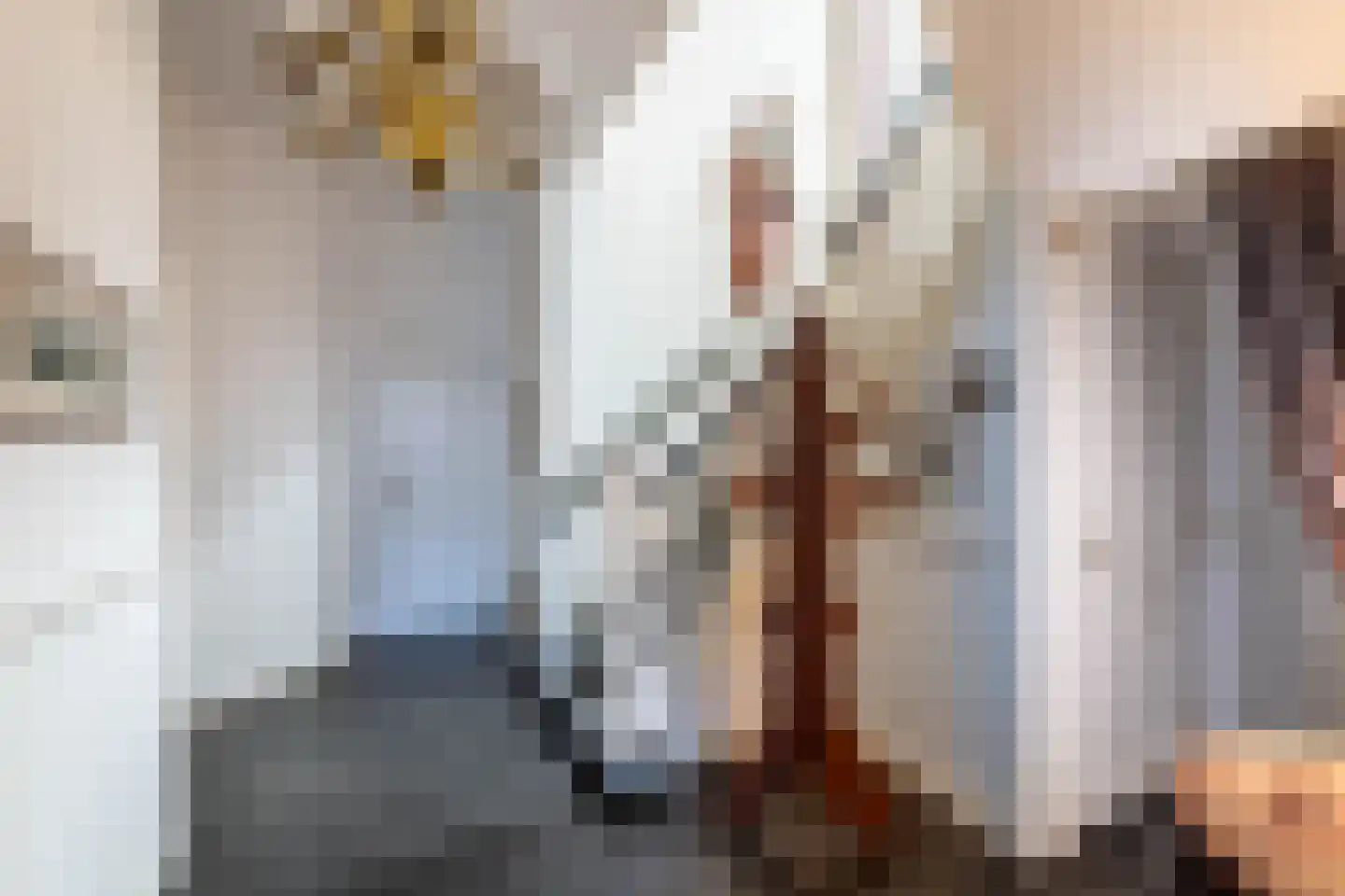 Julianalaan 132 Overveen thumbnail 22