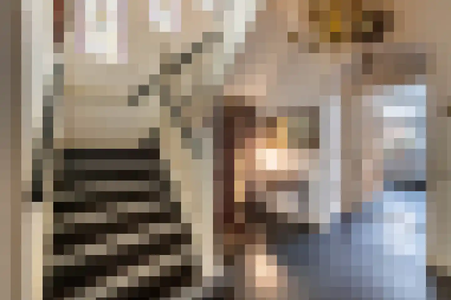 Julianalaan 132 Overveen thumbnail 24