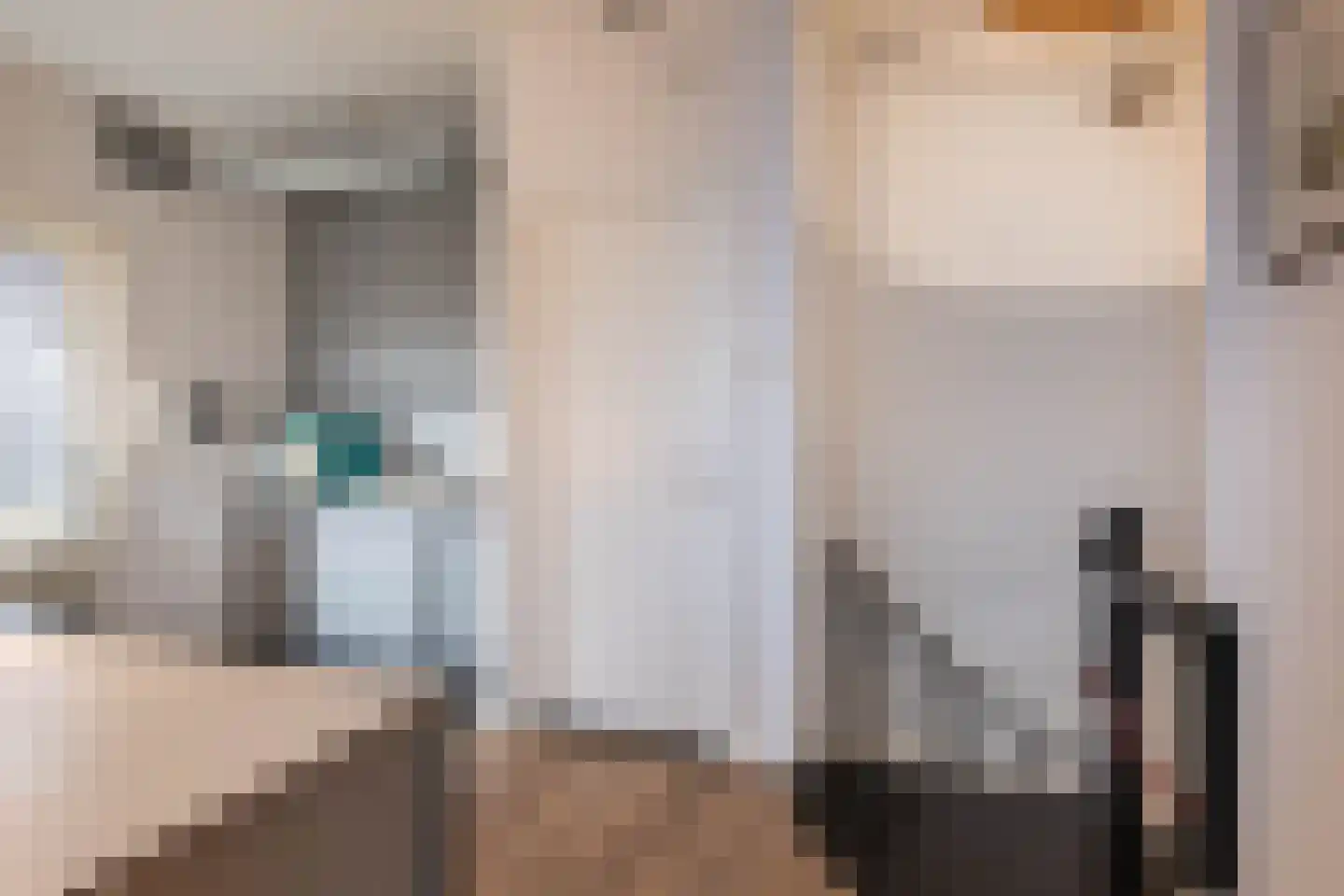 Julianalaan 132 Overveen thumbnail 35