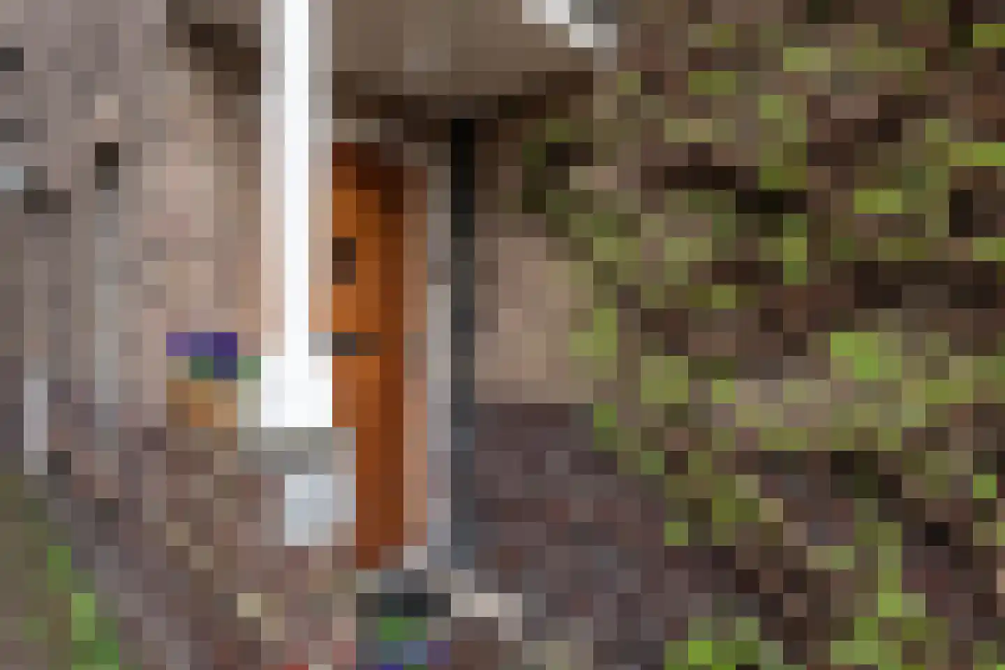 Julianalaan 132 Overveen thumbnail 4