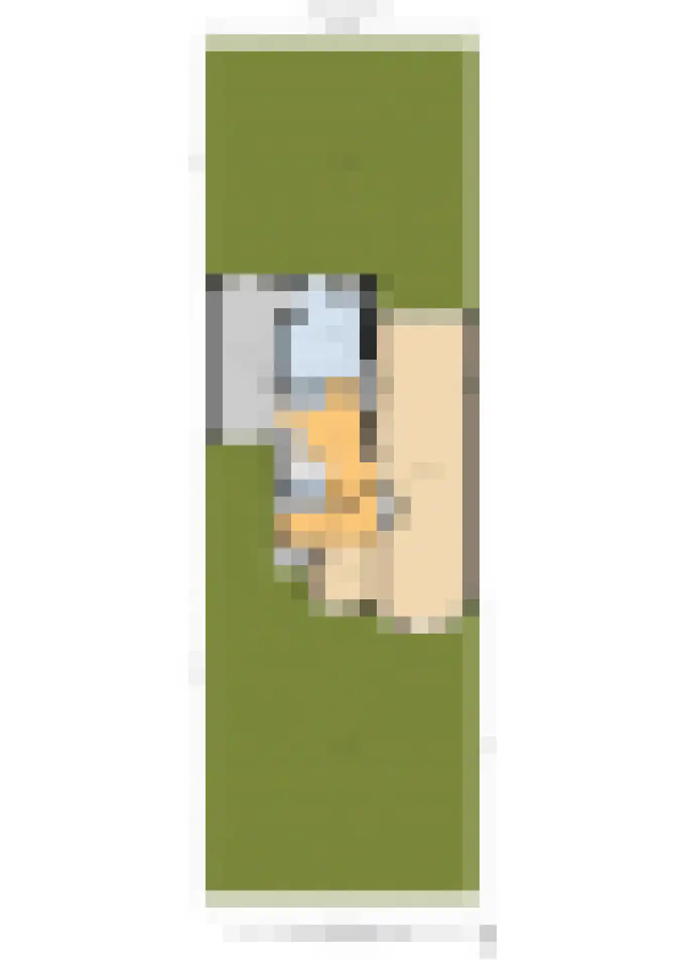 Julianalaan 132 Overveen thumbnail 59