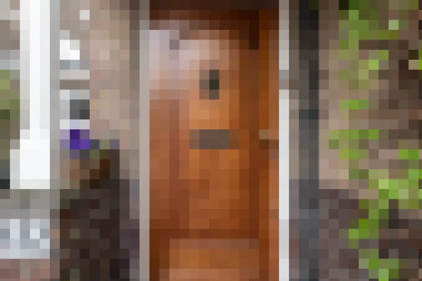 Julianalaan 132 Overveen thumbnail 6