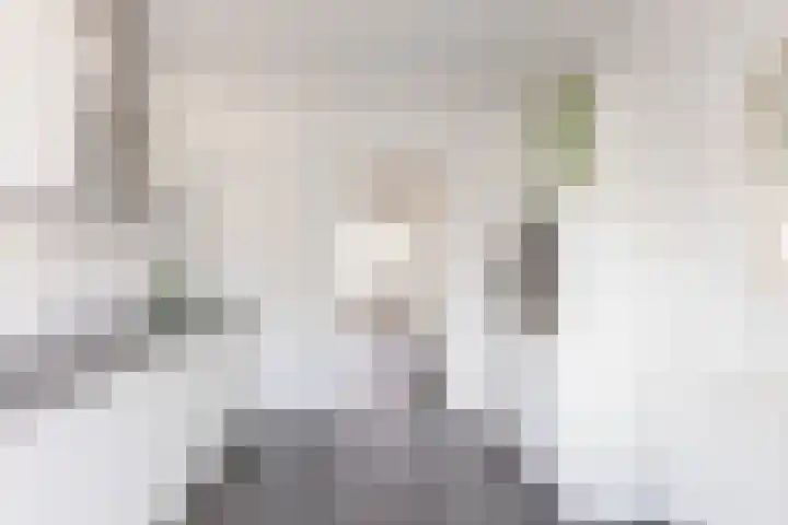 Julianalaan 135 De Rijp thumbnail 10