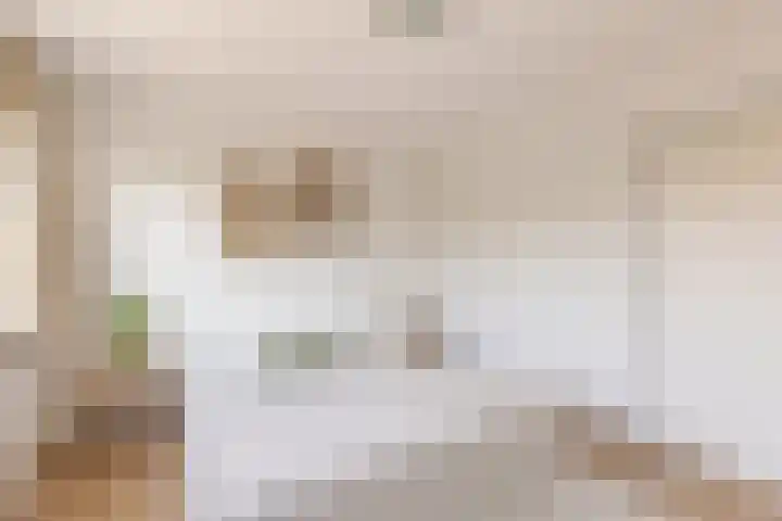 Julianalaan 135 De Rijp thumbnail 17