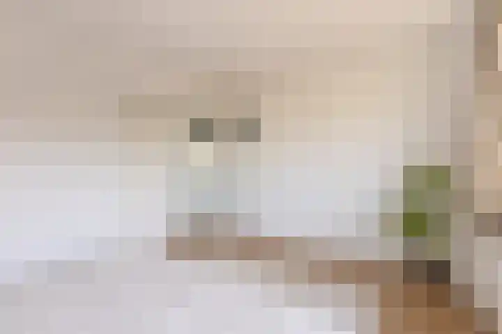 Julianalaan 135 De Rijp thumbnail 18