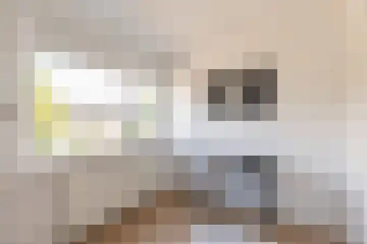 Julianalaan 135 De Rijp thumbnail 19