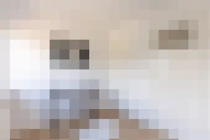 Julianalaan 135 De Rijp thumbnail 20