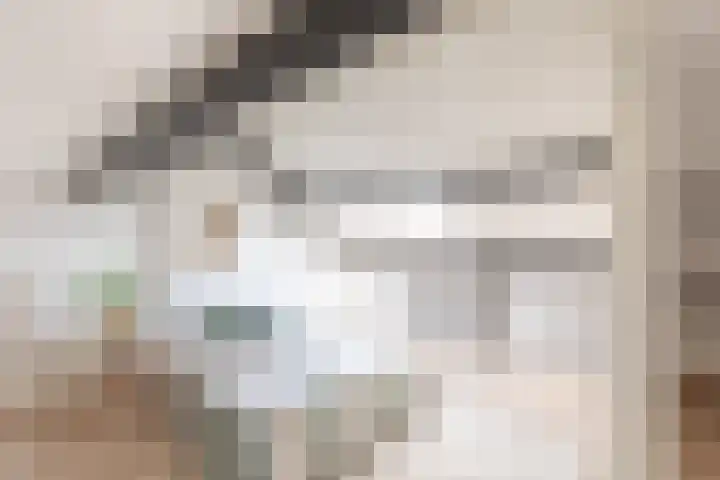 Julianalaan 135 De Rijp thumbnail 30