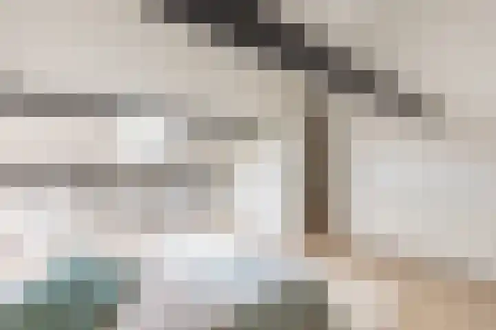 Julianalaan 135 De Rijp thumbnail 31