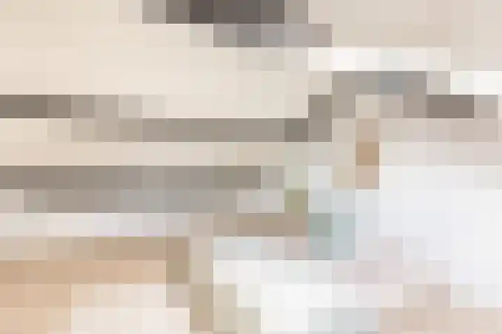 Julianalaan 135 De Rijp thumbnail 32