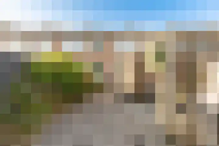 Julianalaan 135 De Rijp thumbnail 34