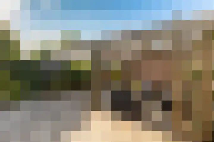 Julianalaan 135 De Rijp thumbnail 36