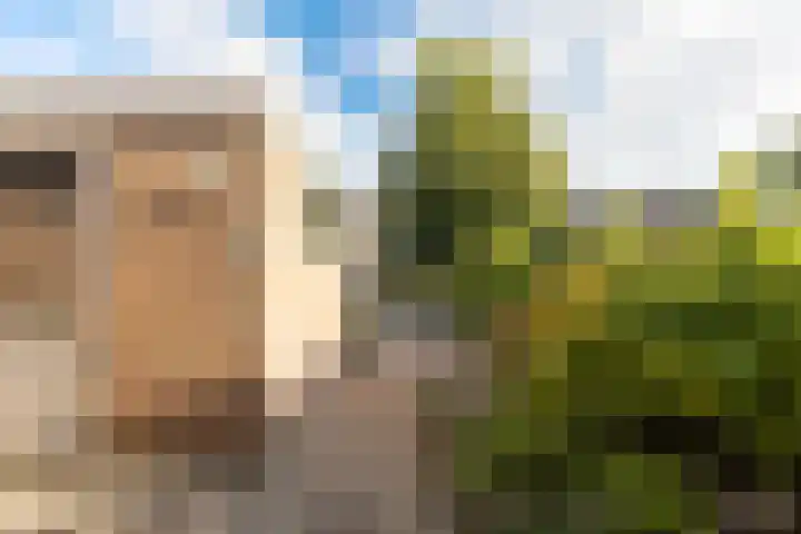 Julianalaan 135 De Rijp thumbnail 37