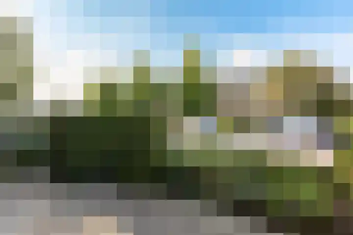 Julianalaan 135 De Rijp thumbnail 38