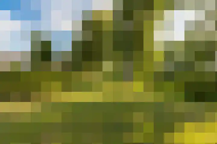 Julianalaan 135 De Rijp thumbnail 39
