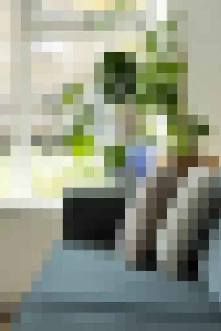 Julianalaan 135 De Rijp thumbnail 4