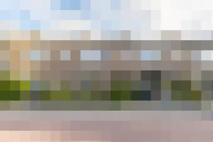 Julianalaan 135 De Rijp thumbnail 40