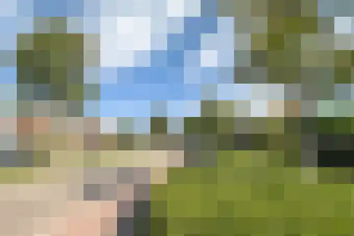 Julianalaan 135 De Rijp thumbnail 41