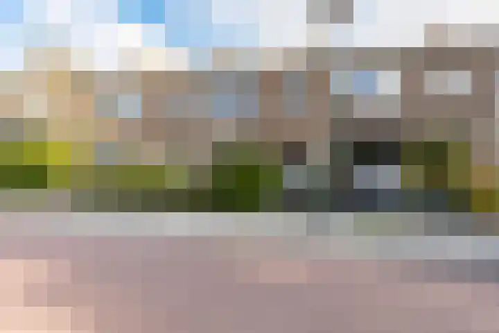 Julianalaan 135 De Rijp thumbnail 43