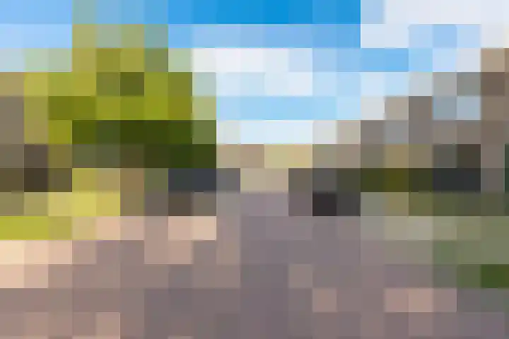 Julianalaan 135 De Rijp thumbnail 44
