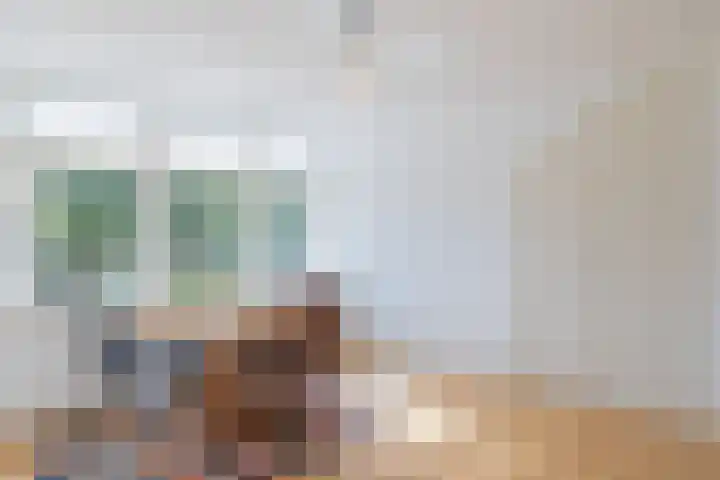 Julianalaan 138 Overveen thumbnail 17