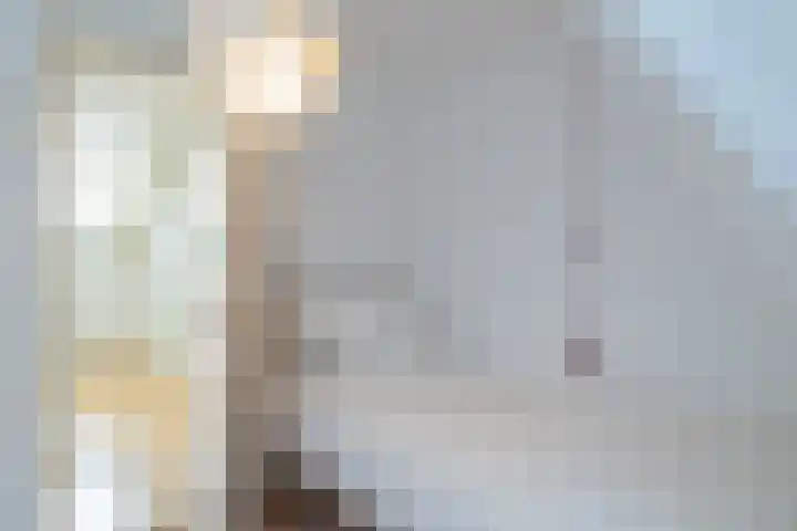 Julianalaan 138 Overveen thumbnail 20