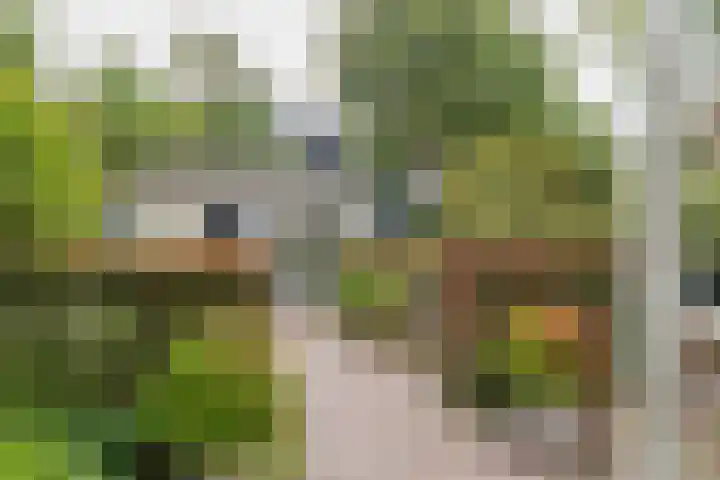 Julianalaan 138 Overveen thumbnail 21