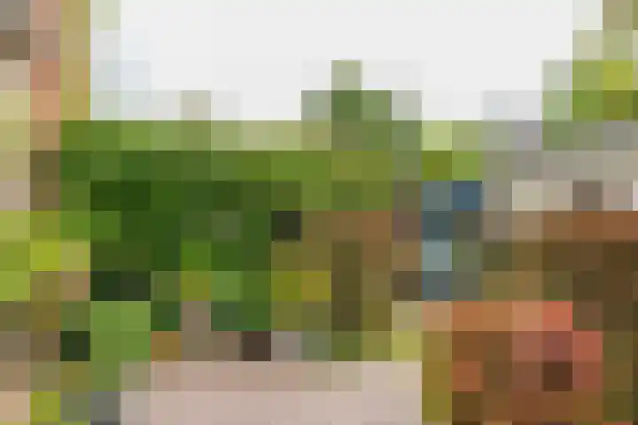 Julianalaan 138 Overveen thumbnail 23