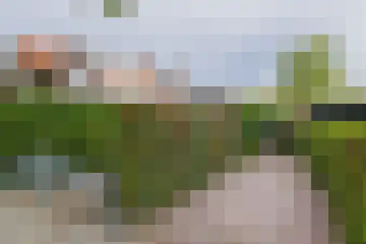 Julianalaan 138 Overveen thumbnail 25
