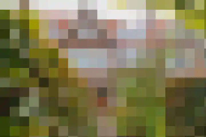 Julianalaan 138 Overveen thumbnail 26