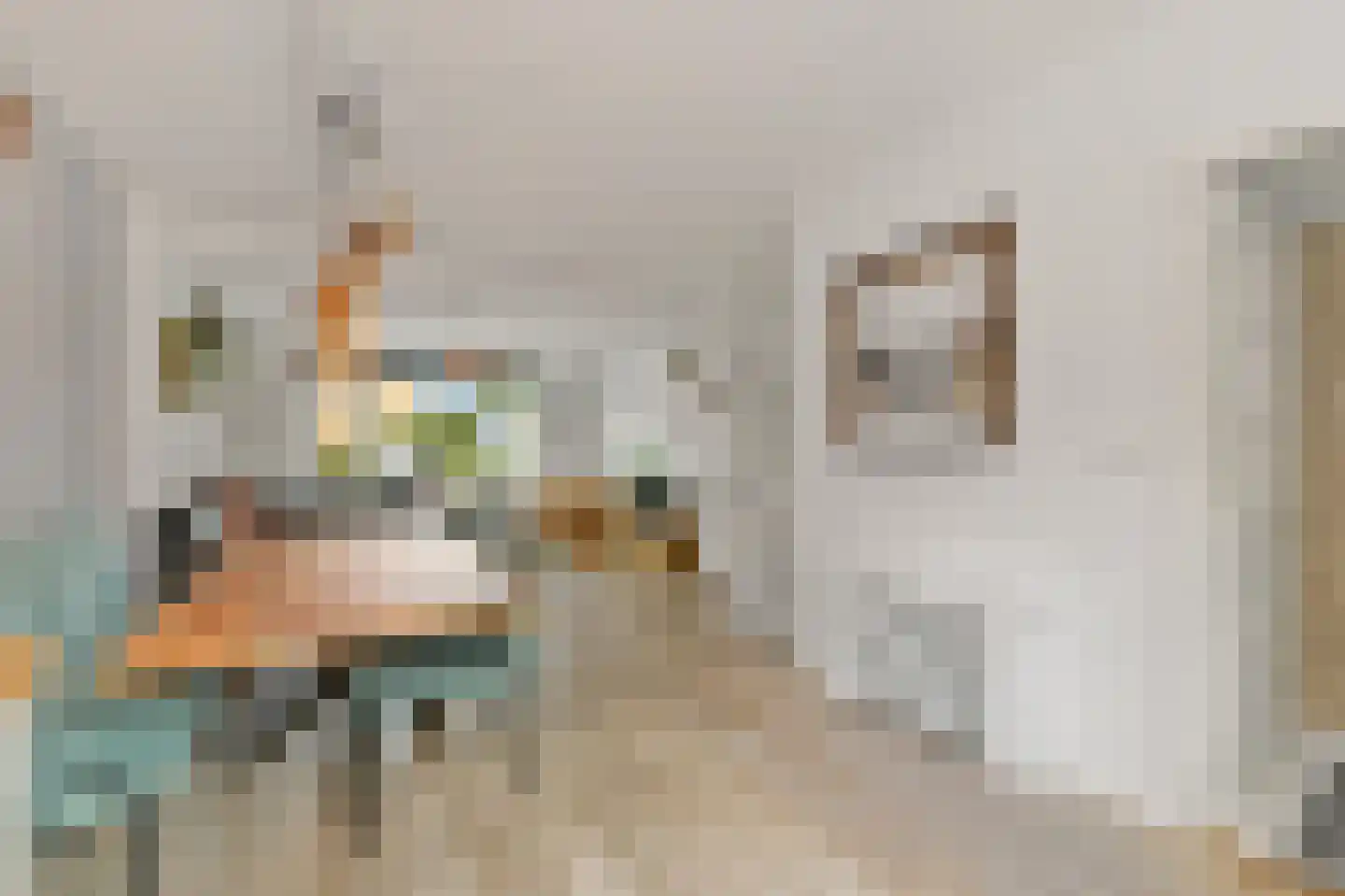 Julianalaan 14 Bergschenhoek thumbnail 19
