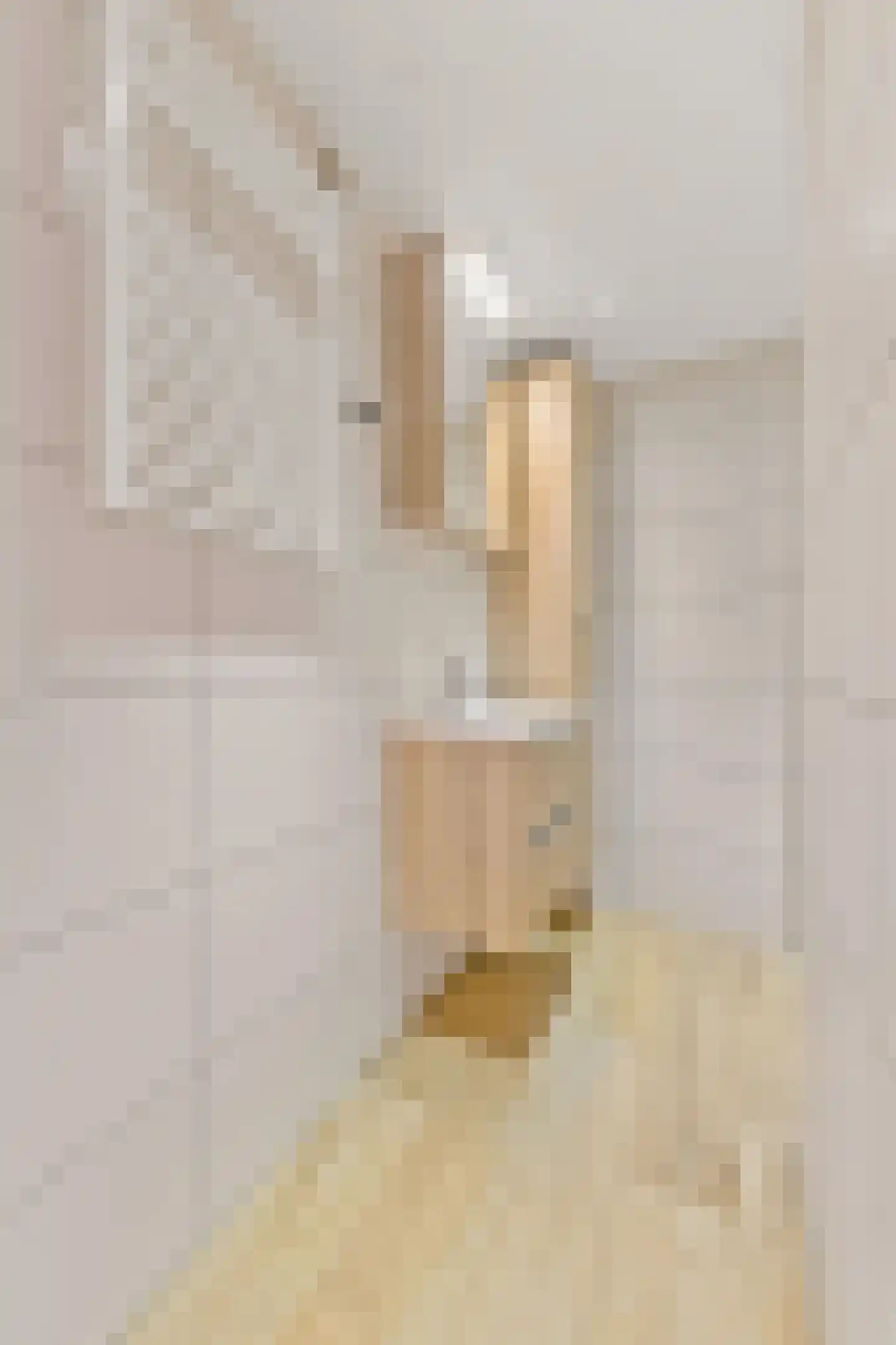 Julianalaan 14 Bergschenhoek thumbnail 25