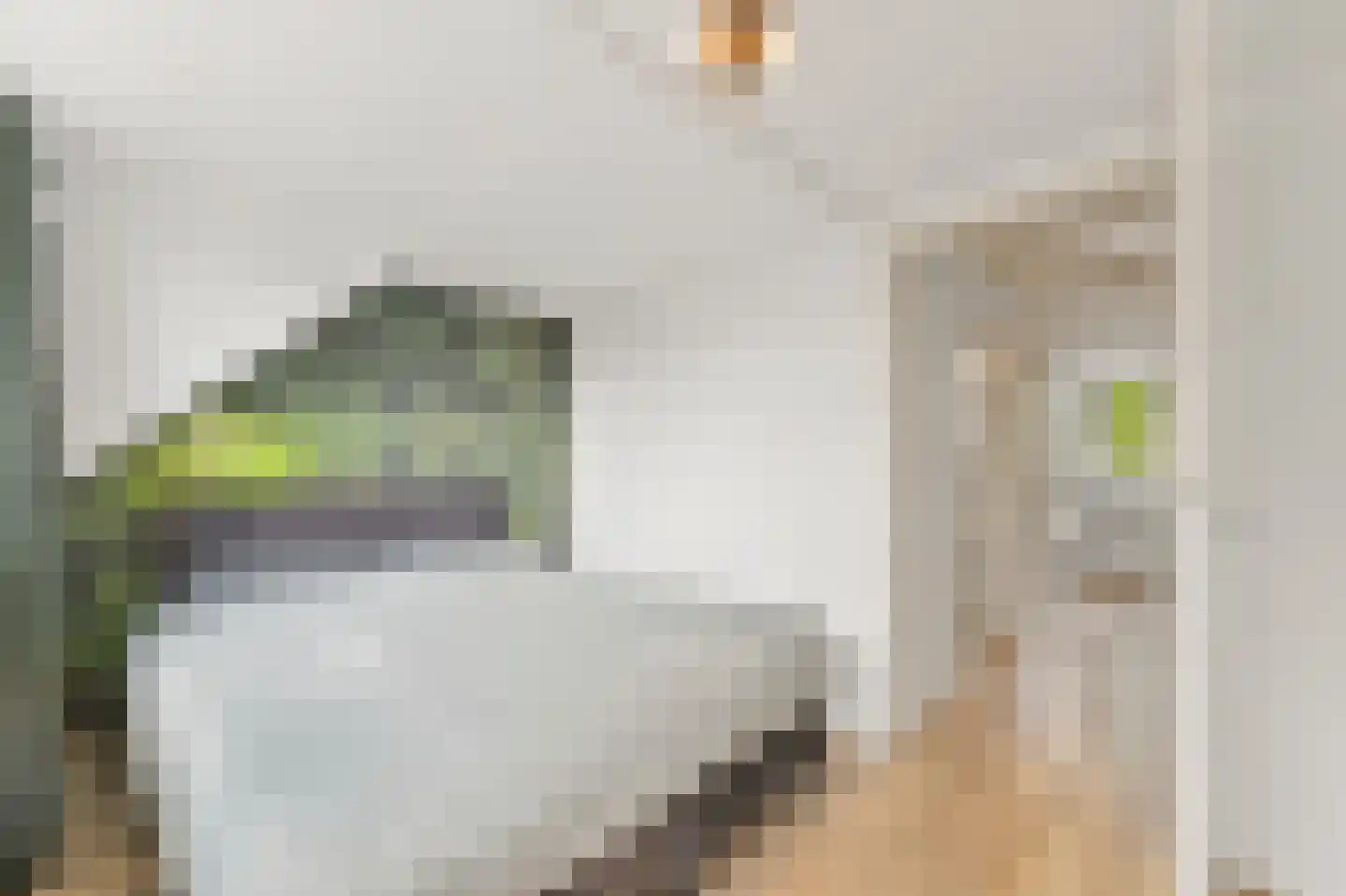 Julianalaan 14 Bergschenhoek thumbnail 30