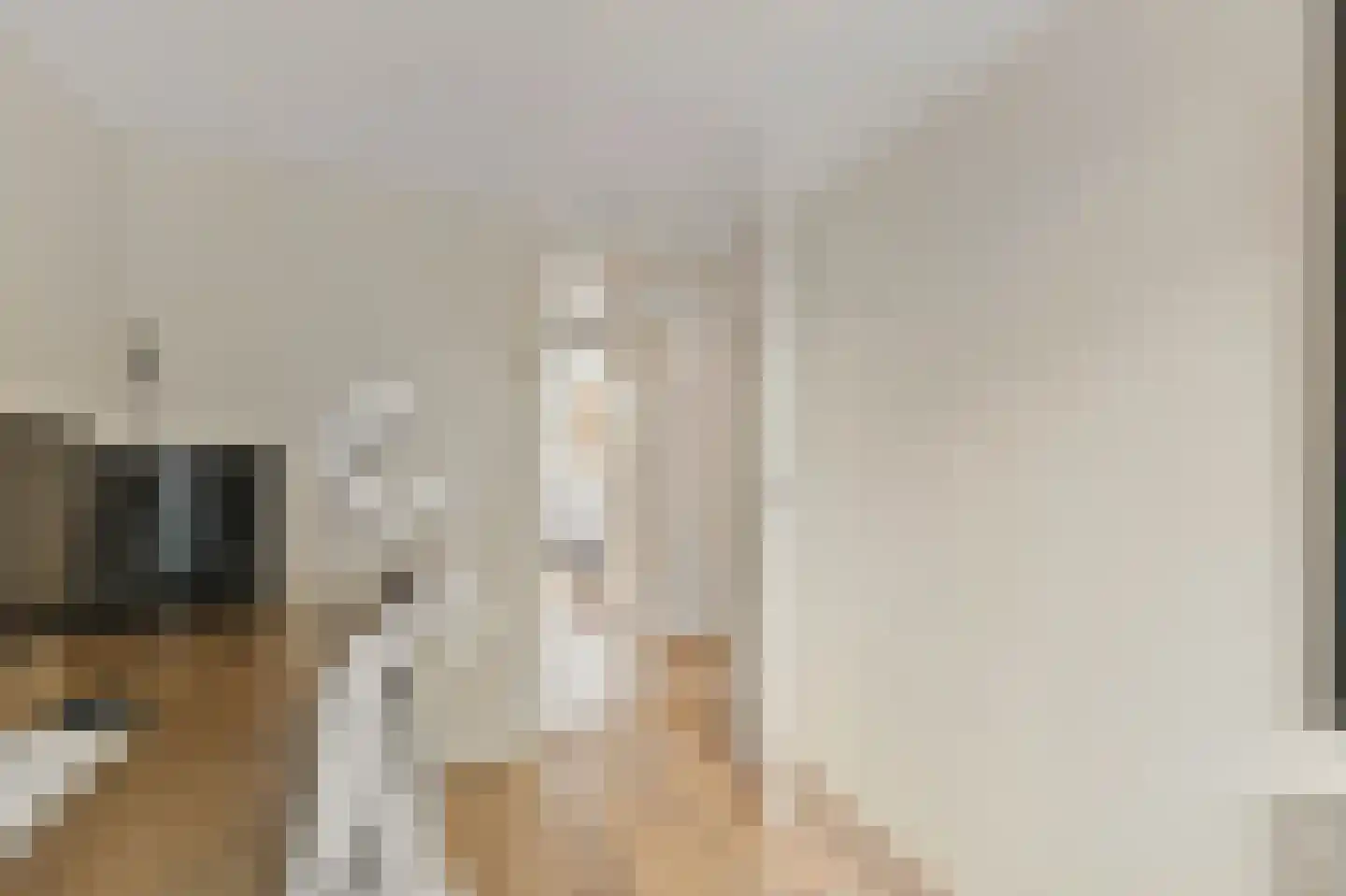 Julianalaan 14 Bergschenhoek thumbnail 36