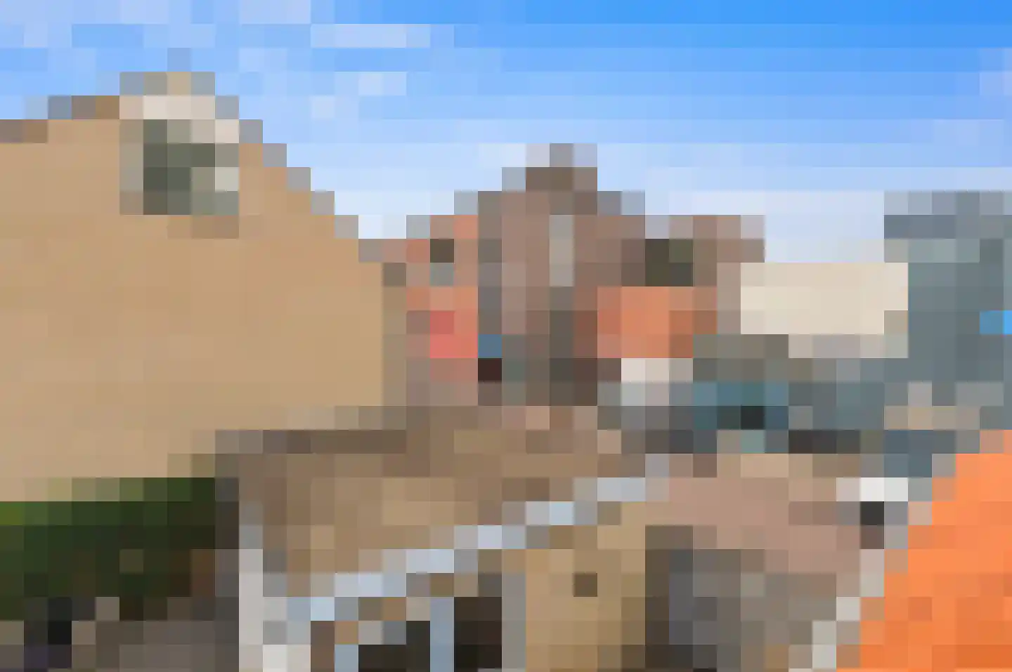 Julianalaan 14 Bergschenhoek thumbnail 38