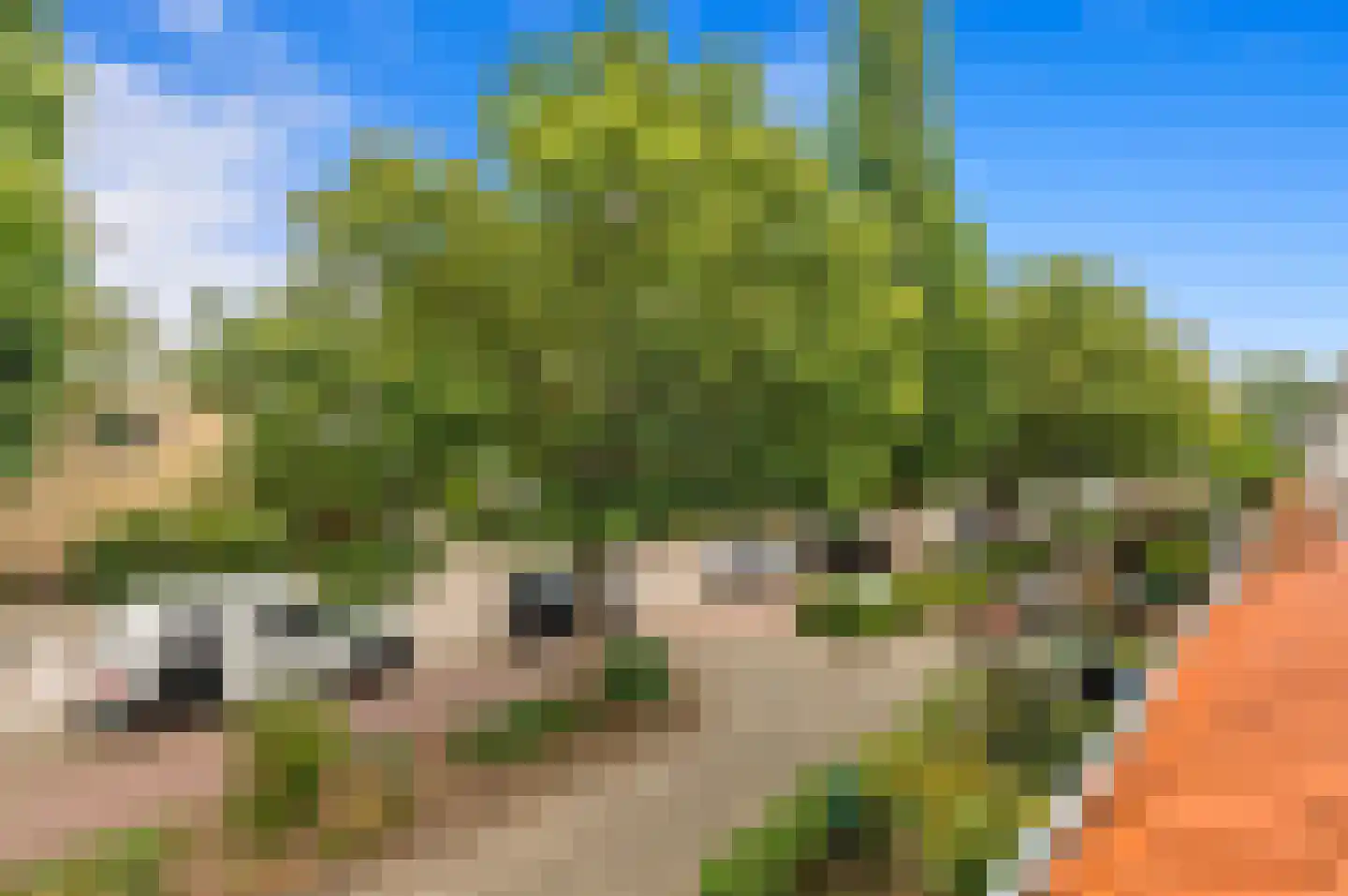 Julianalaan 14 Bergschenhoek thumbnail 39