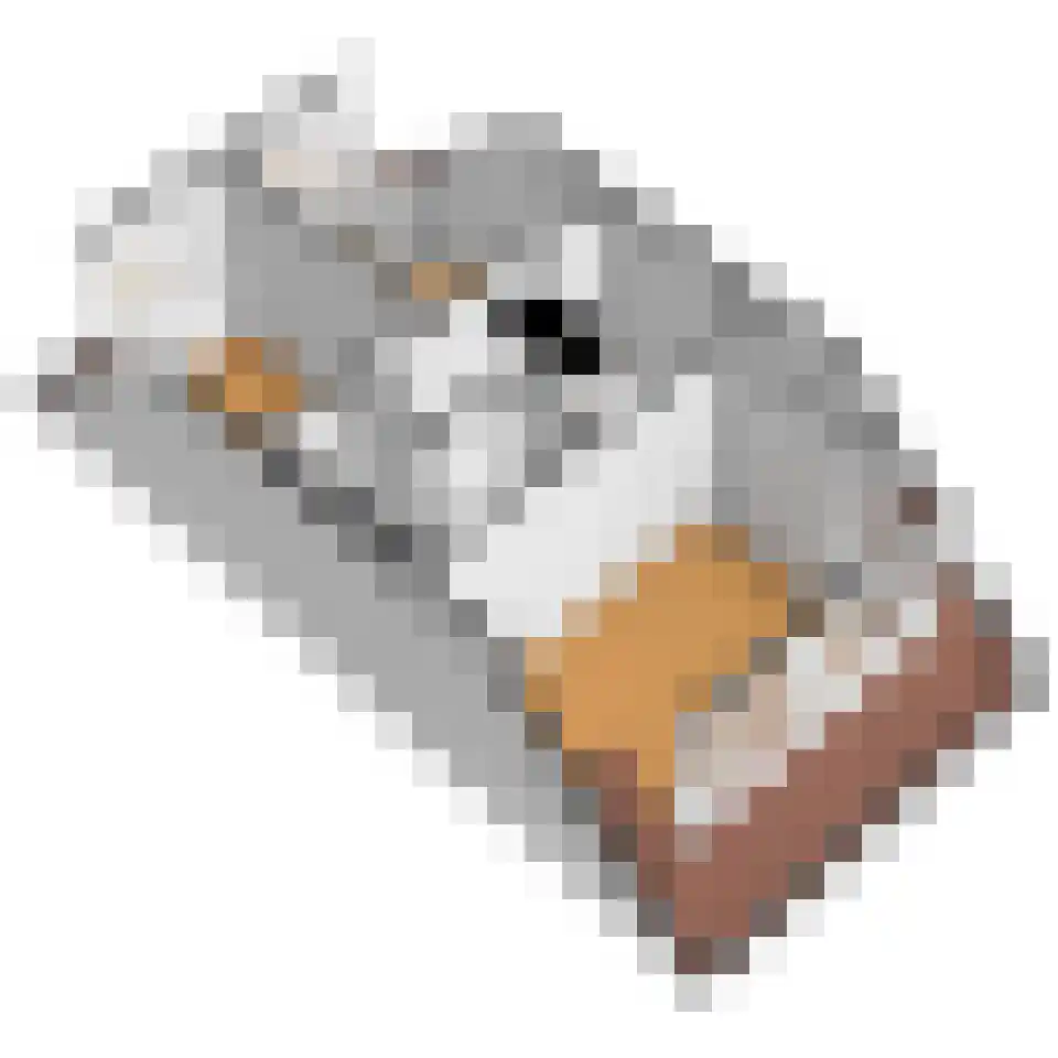 Julianalaan 14 Bergschenhoek thumbnail 43