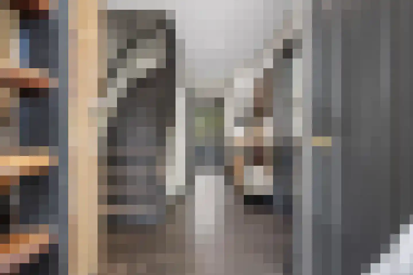 Julianalaan 14 Hapert thumbnail 10