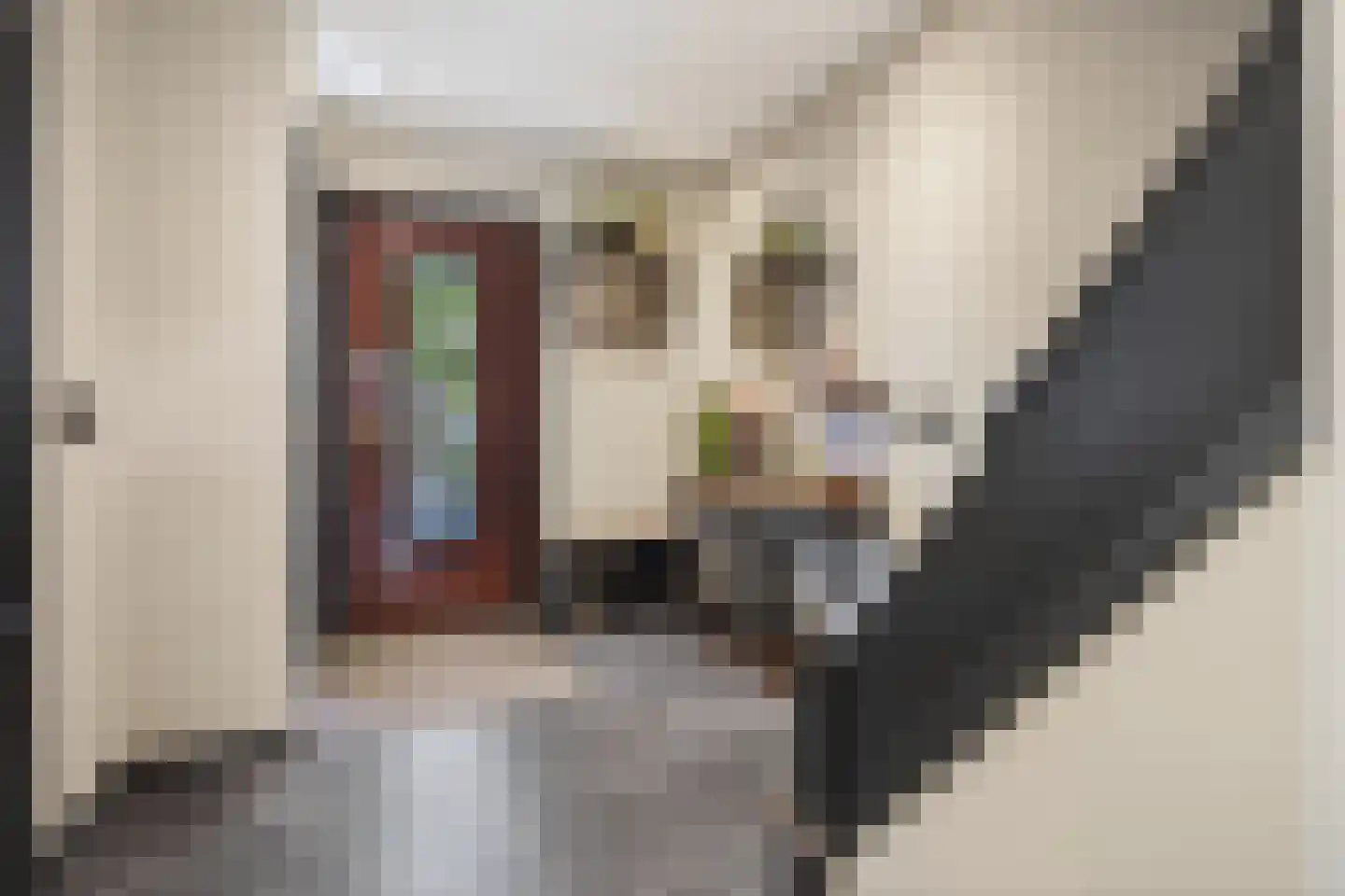 Julianalaan 14 Hapert thumbnail 11