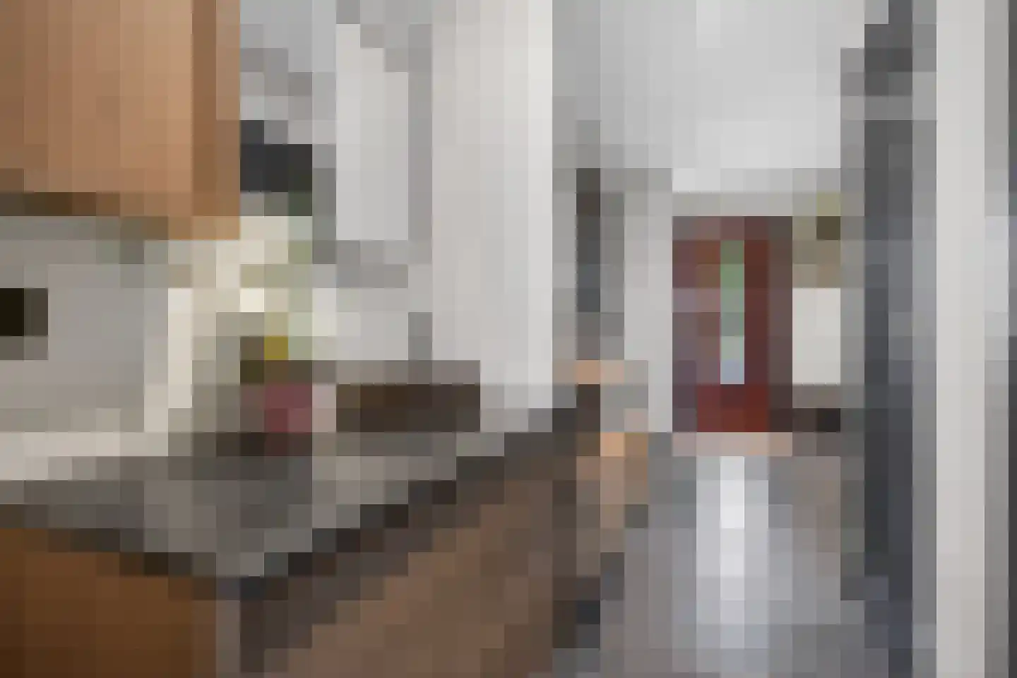 Julianalaan 14 Hapert thumbnail 12