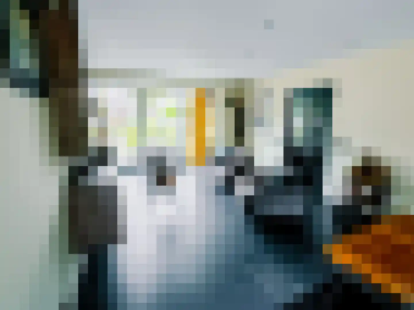 Julianalaan 14 Hapert thumbnail 14