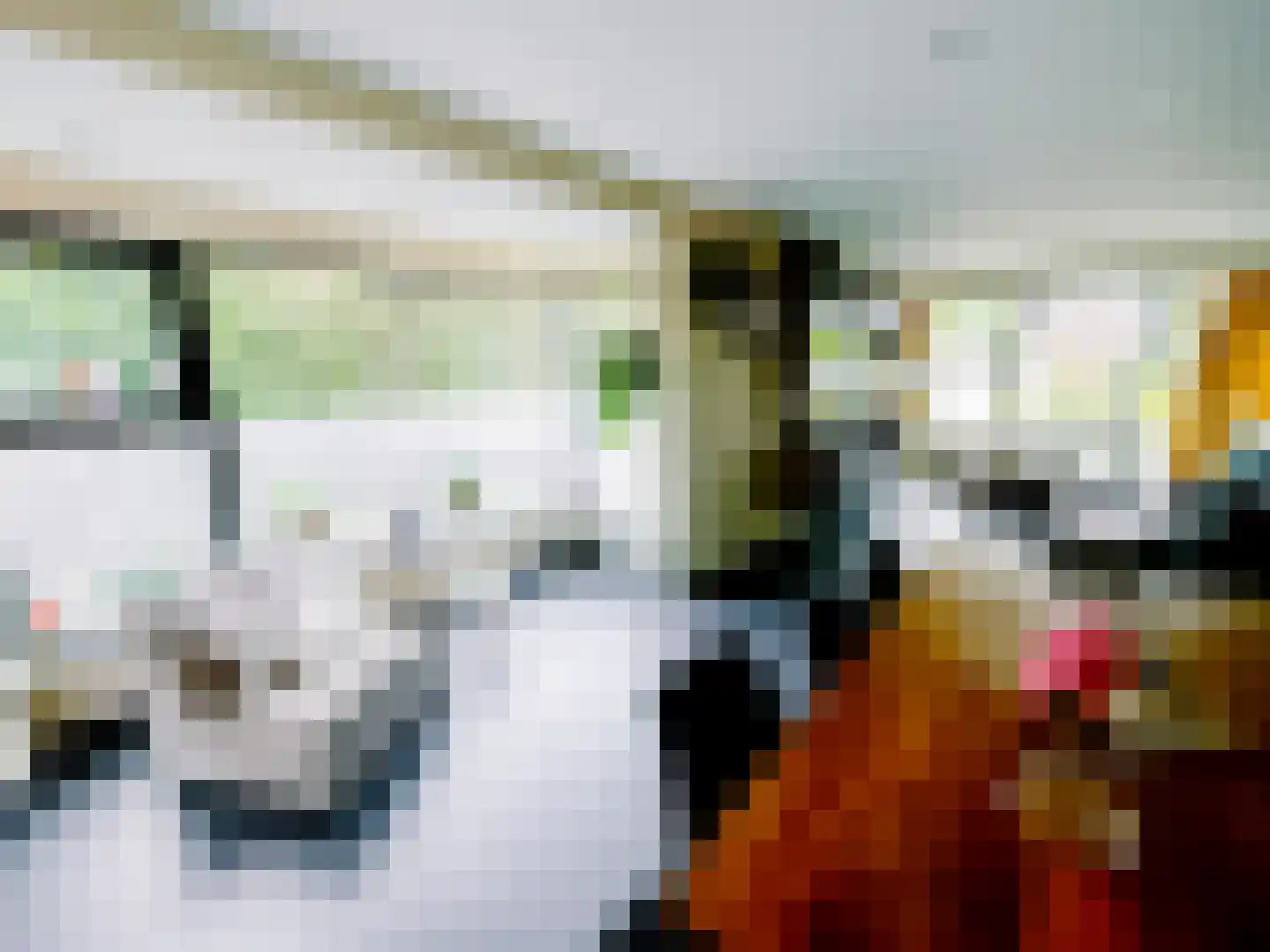 Julianalaan 14 Hapert thumbnail 17