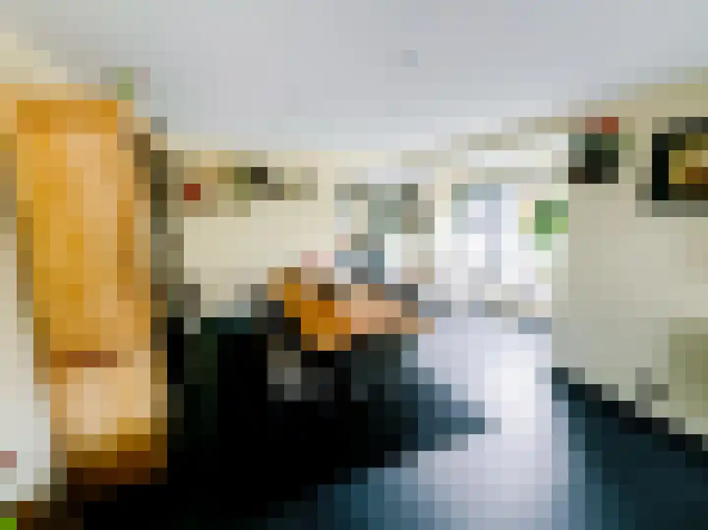 Julianalaan 14 Hapert thumbnail 18