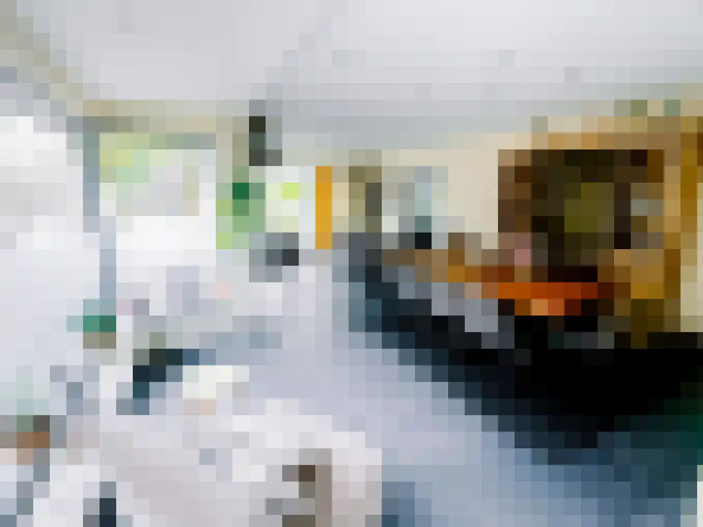 Julianalaan 14 Hapert thumbnail 19