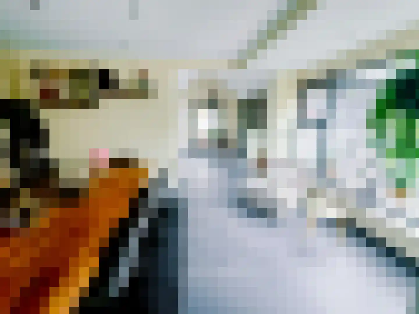 Julianalaan 14 Hapert thumbnail 20