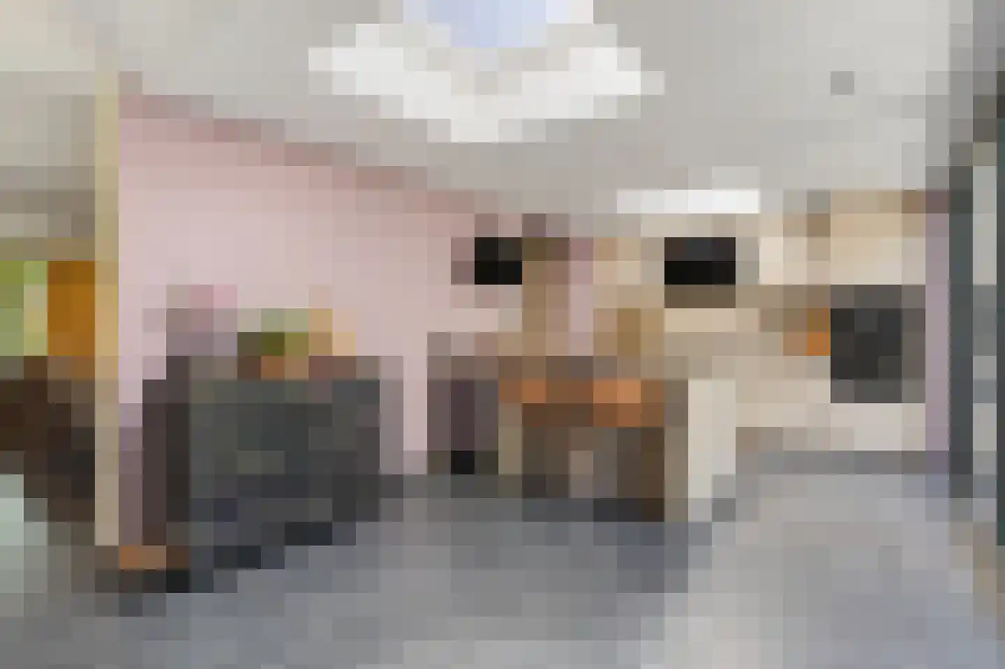 Julianalaan 14 Hapert thumbnail 22