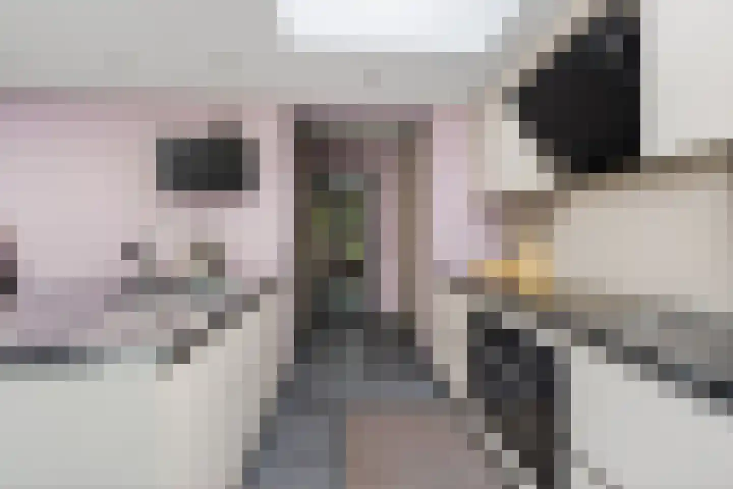 Julianalaan 14 Hapert thumbnail 24