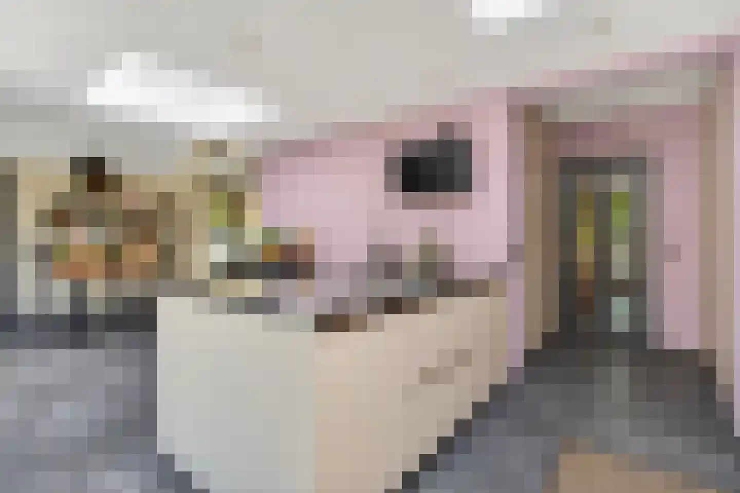 Julianalaan 14 Hapert thumbnail 25