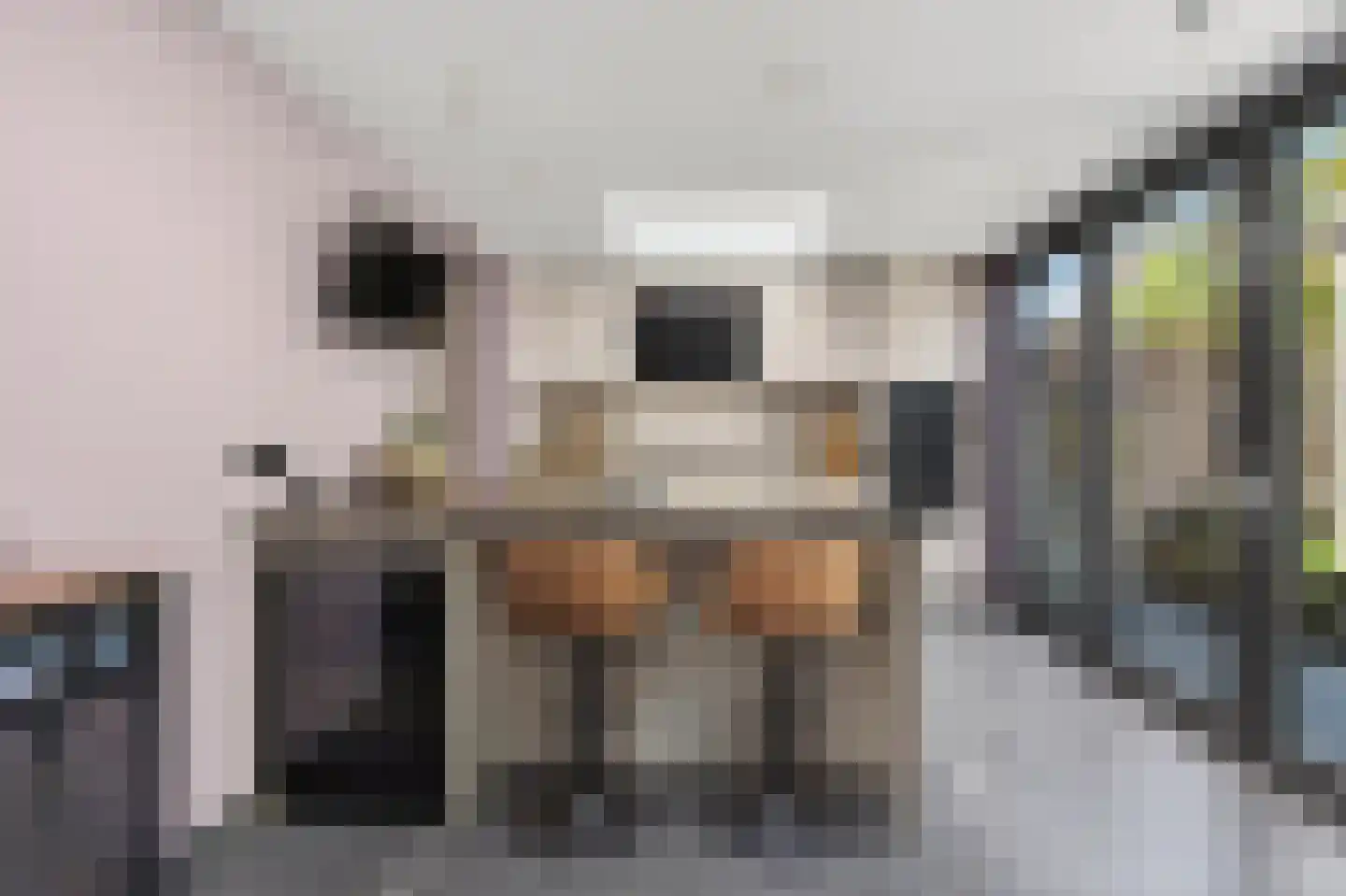 Julianalaan 14 Hapert thumbnail 26